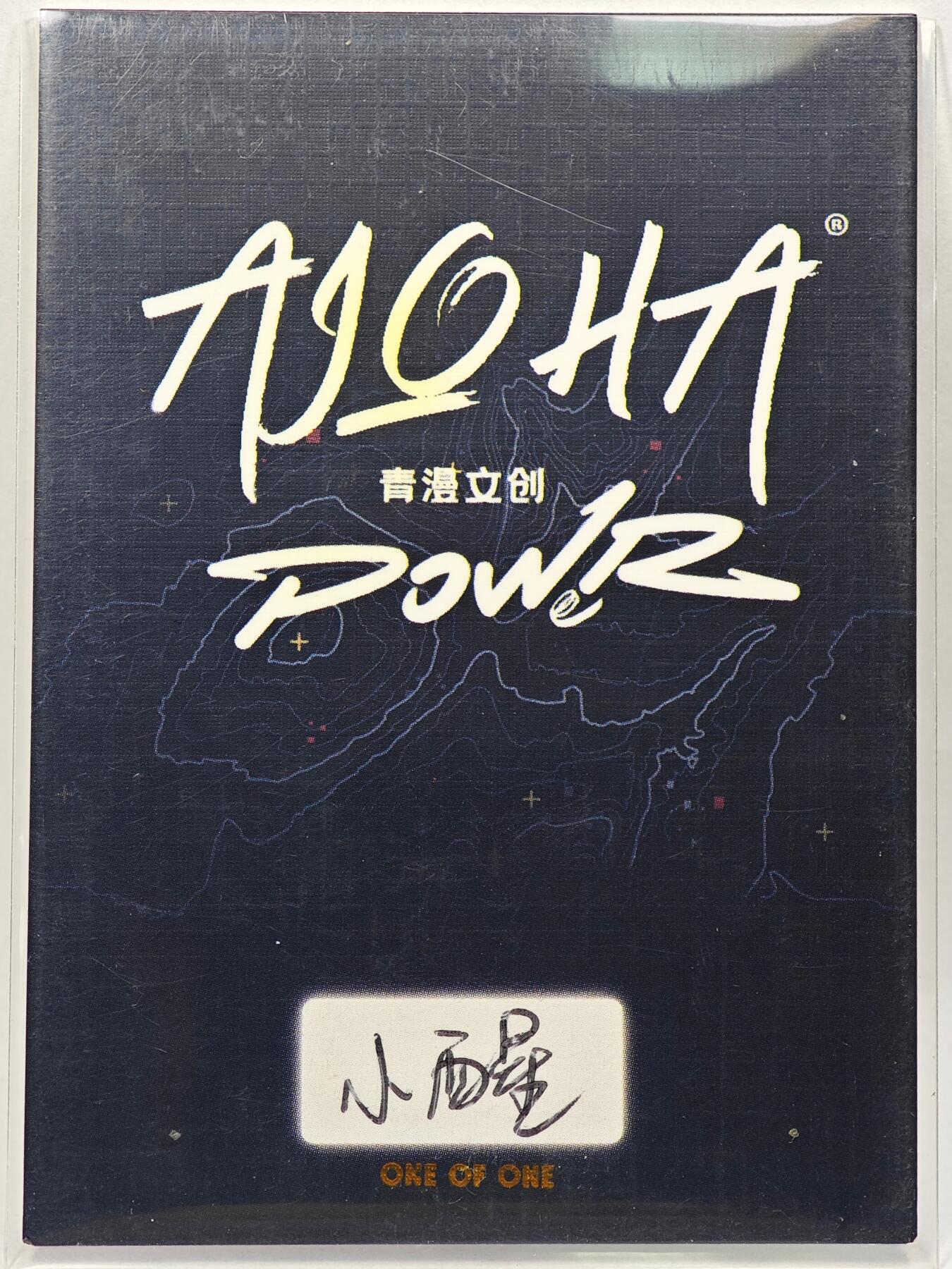 白泽拍卖卡牌手绘专场第28期（细雨生寒、寻梅闻香） 2025 青漫手绘卡 鼬  小醒亲签