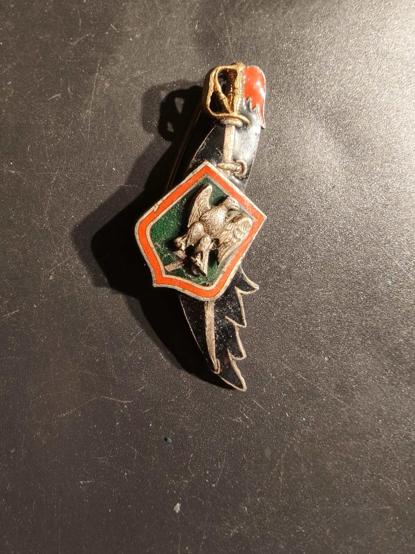 老王徽章第163期 13-15日三场连拍 16日统一发货  13、14日结束后可寄存 法国第7龙骑兵团证章 