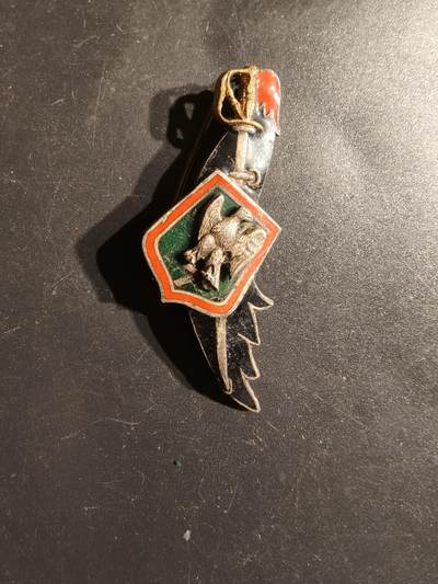 老王徽章第163期 13-15日三场连拍 16日统一发货  13、14日结束后可寄存 - 法国第7龙骑兵团证章 