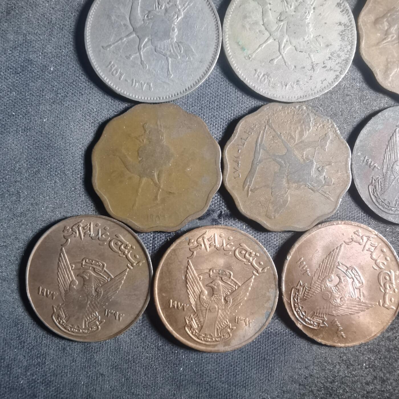 沼泽如烟--第900场 苏丹16枚