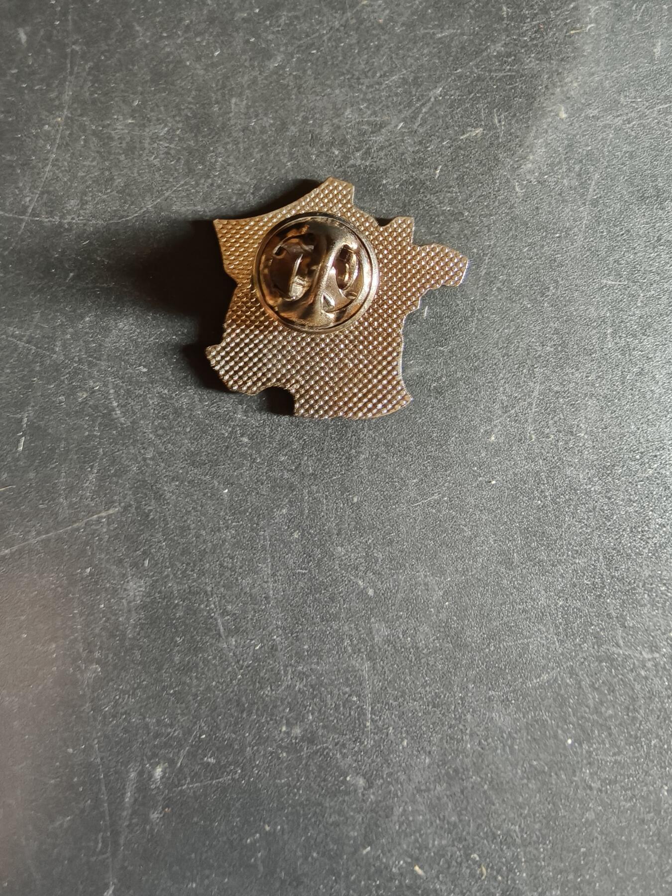 老王徽章第163期 13-15日三场连拍 16日统一发货  13、14日结束后可寄存 法国陆军徽章 