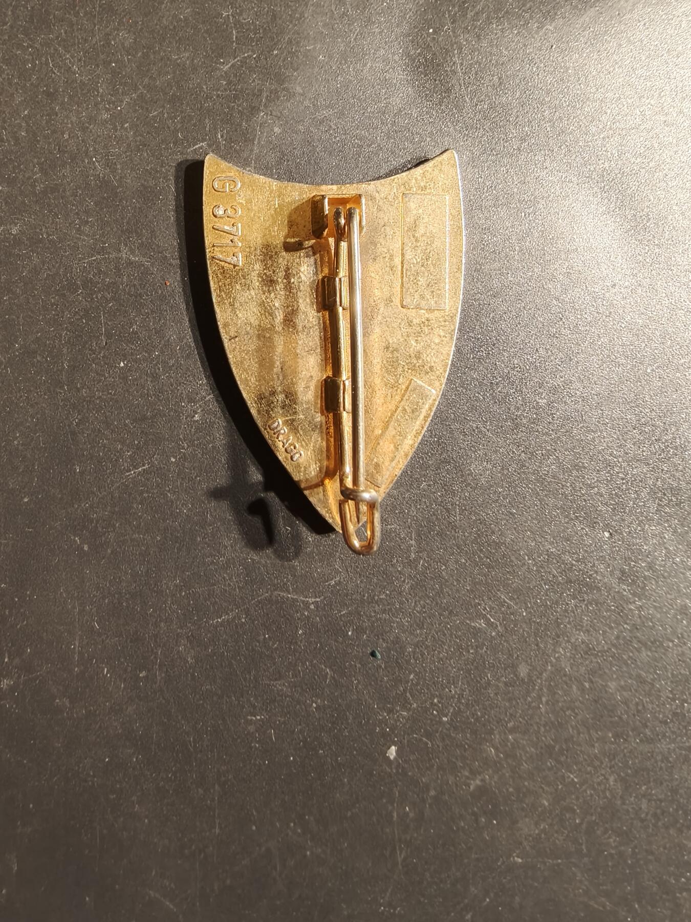 老王徽章第163期 13-15日三场连拍 16日统一发货  13、14日结束后可寄存 法国第41通信团证章 