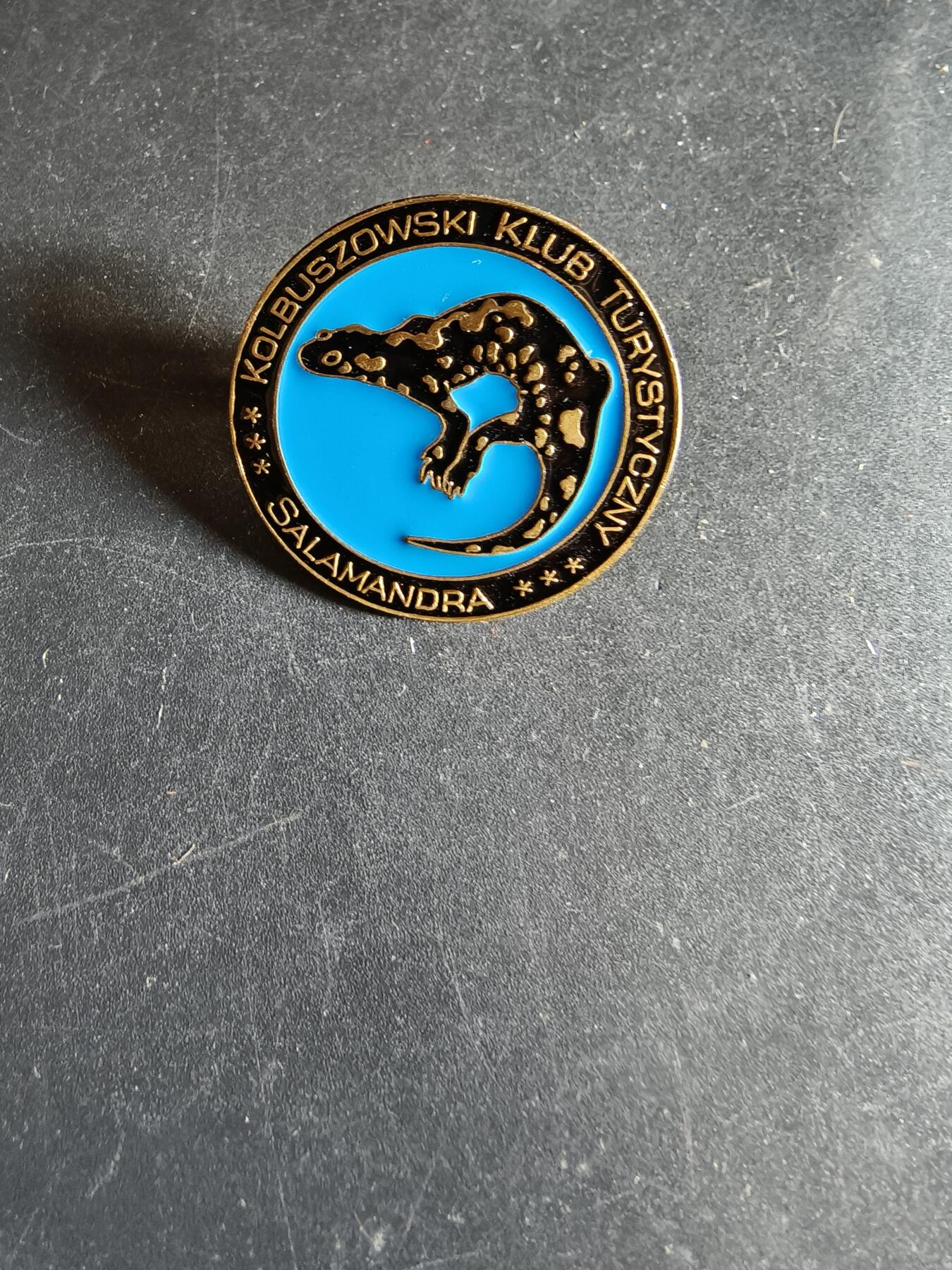 老王徽章第163期 13-15日三场连拍 16日统一发货  13、14日结束后可寄存  波兰科尔布朔瓦旅游协会证章