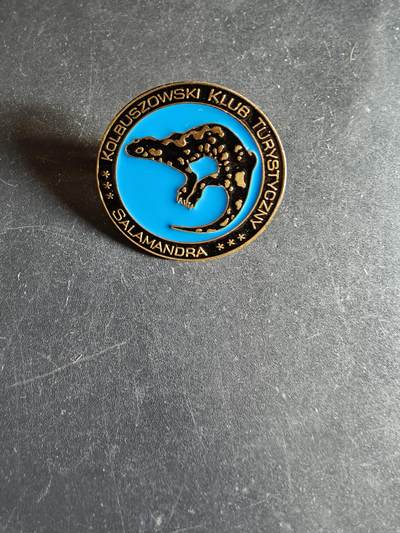 老王徽章第163期 13-15日三场连拍 16日统一发货  13、14日结束后可寄存 -  波兰科尔布朔瓦旅游协会证章