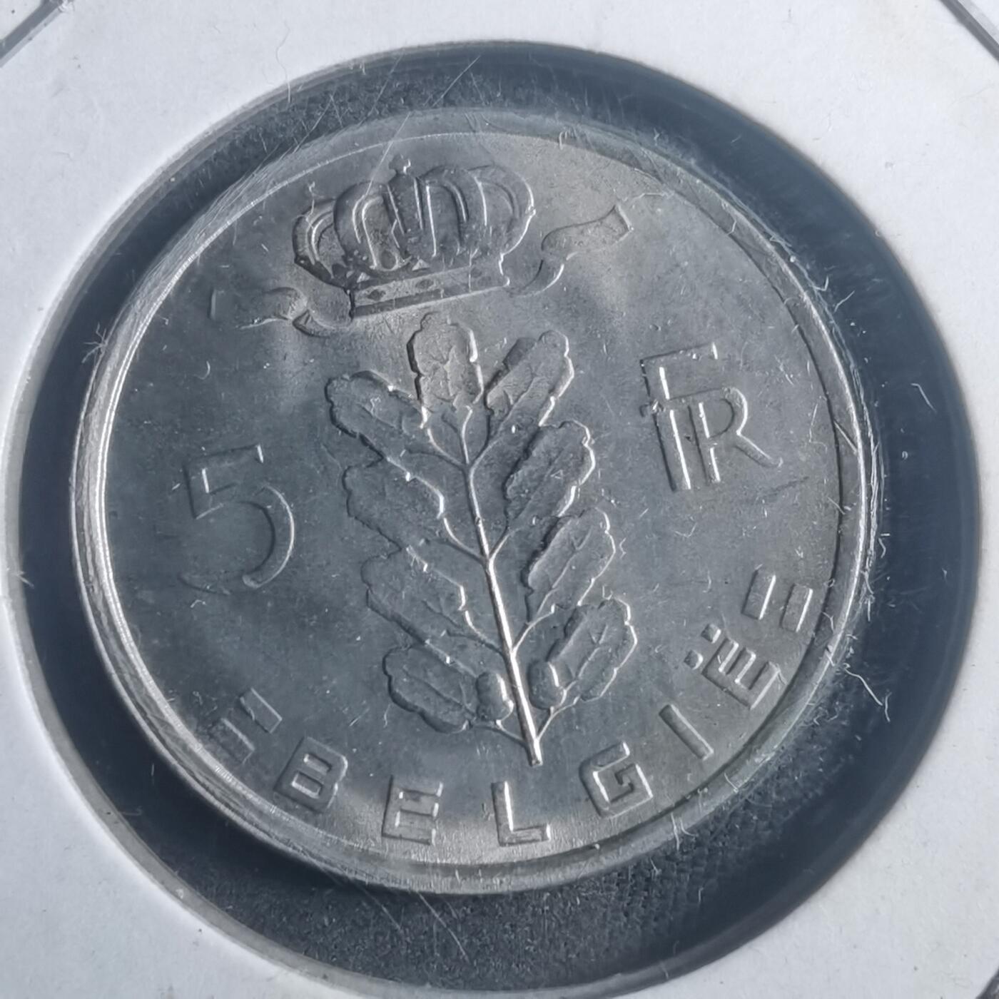 沼泽如烟--第903场