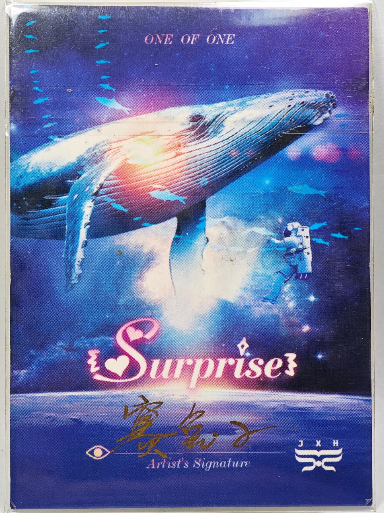 白泽拍卖卡牌手绘专场第28期（细雨生寒、寻梅闻香） 2025 JXH手绘卡 森  赛兔子亲签