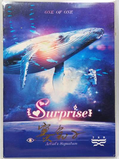 白泽拍卖卡牌手绘专场第28期（细雨生寒、寻梅闻香） 2025 JXH手绘卡 森  赛兔子亲签