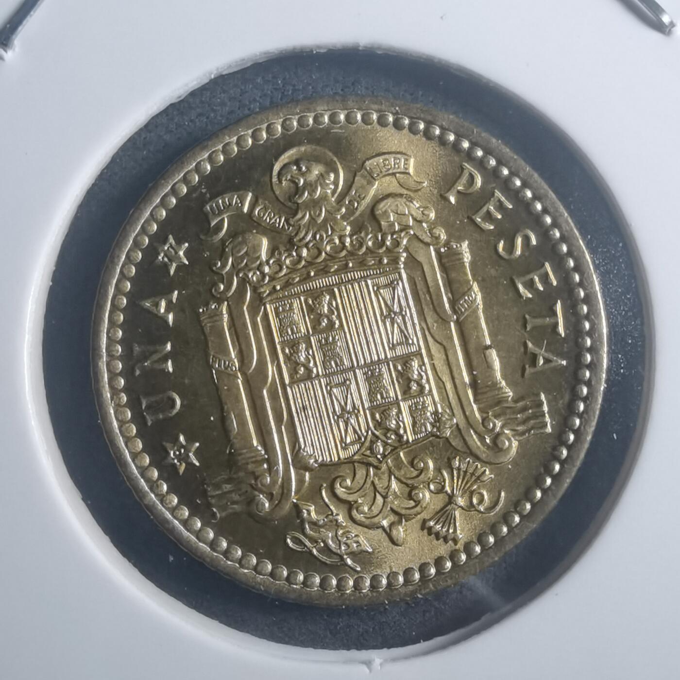 沼泽如烟--第903场