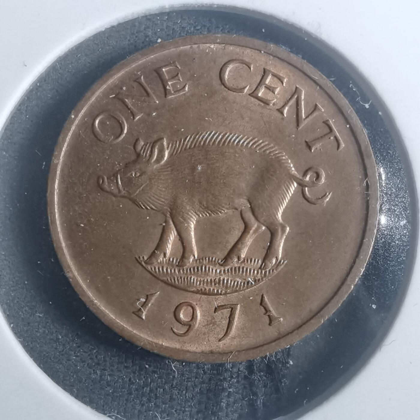 沼泽如烟--第900场