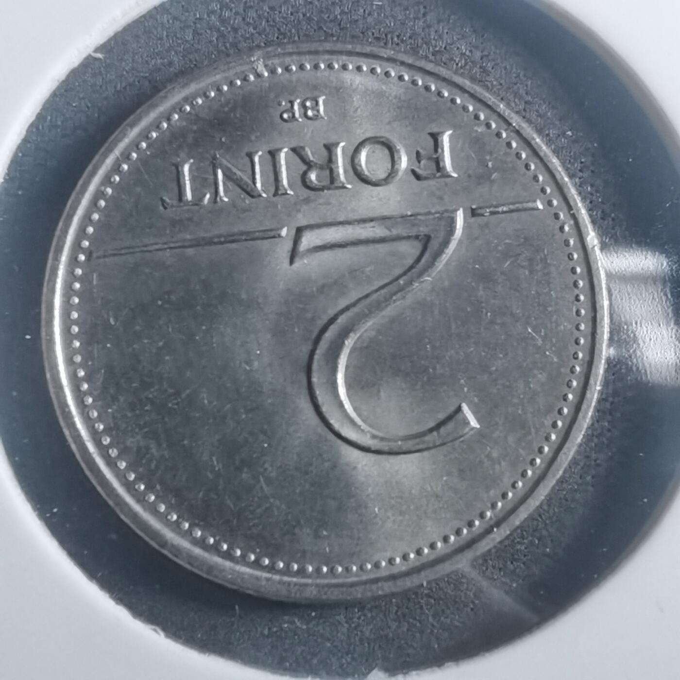 沼泽如烟--第903场