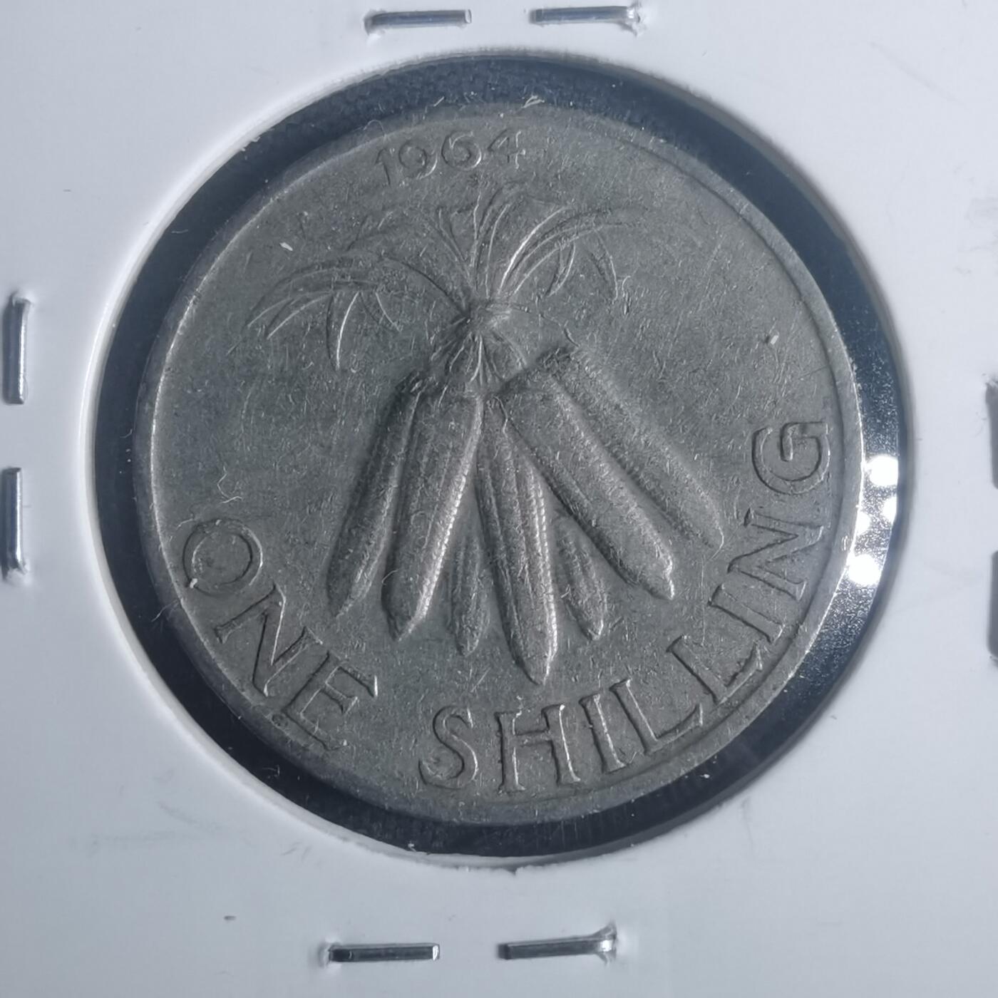 沼泽如烟--第900场 马拉维1964年1先令