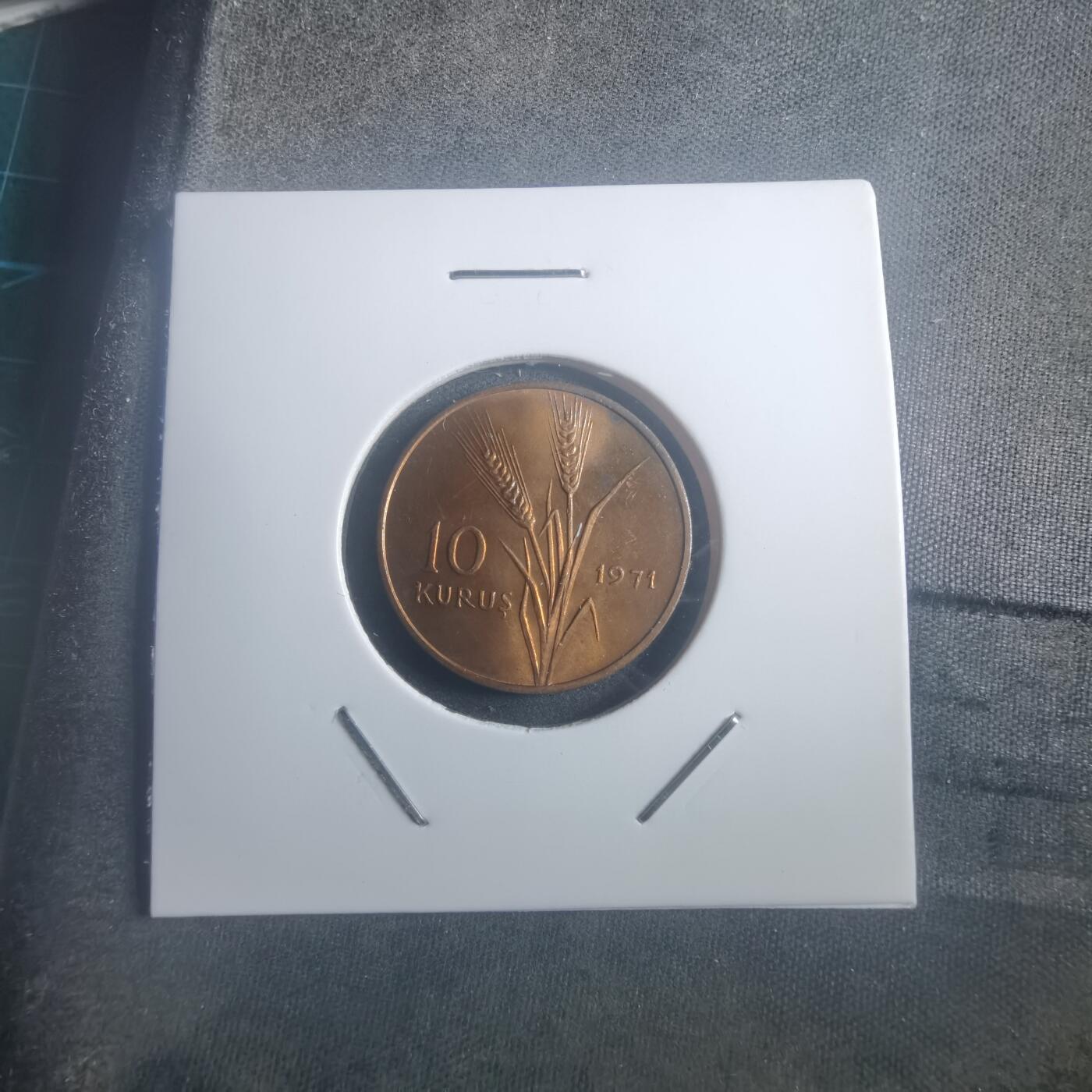 沼泽如烟--第903场