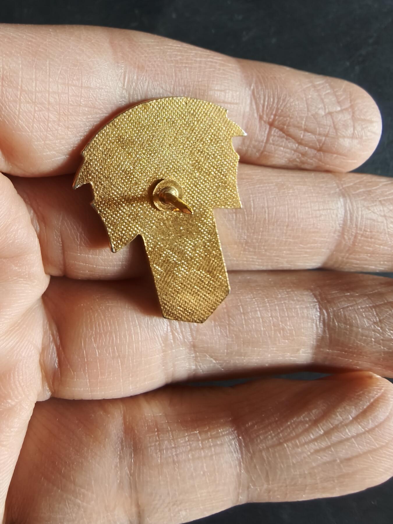 老王徽章第163期 13-15日三场连拍 16日统一发货  13、14日结束后可寄存 美国寻找战争失踪士兵协会徽章 