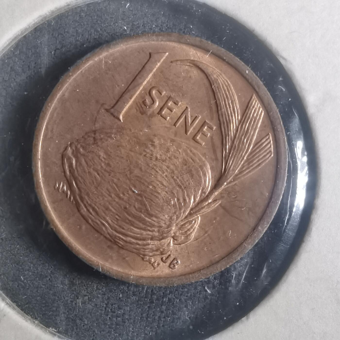 沼泽如烟--第900场