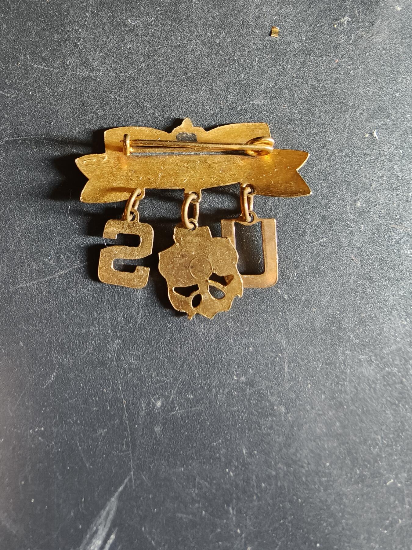 老王徽章第163期 13-15日三场连拍 16日统一发货  13、14日结束后可寄存 美国海军证章 