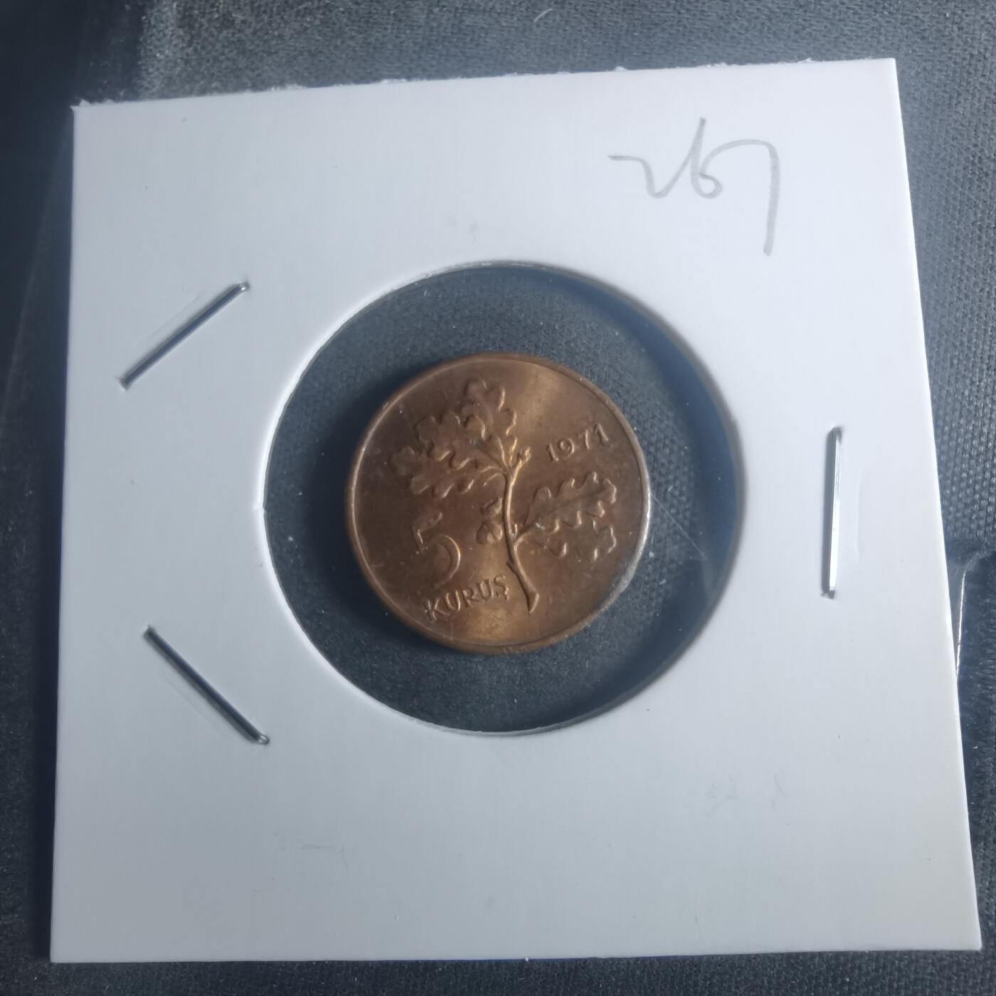 沼泽如烟--第900场