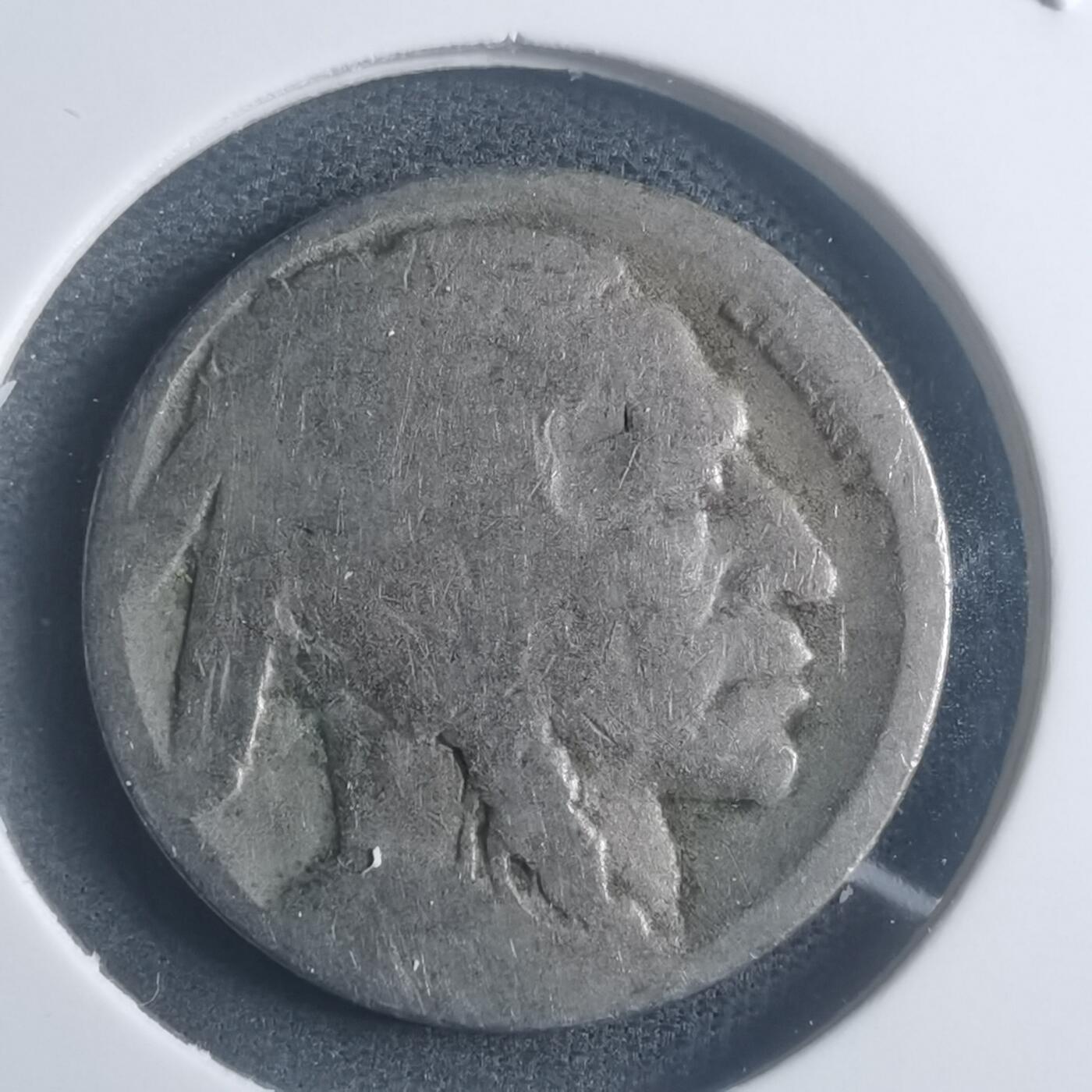 沼泽如烟--第903场 美国野牛五分