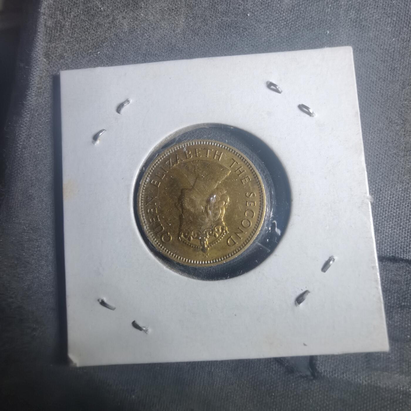 沼泽如烟--第900场