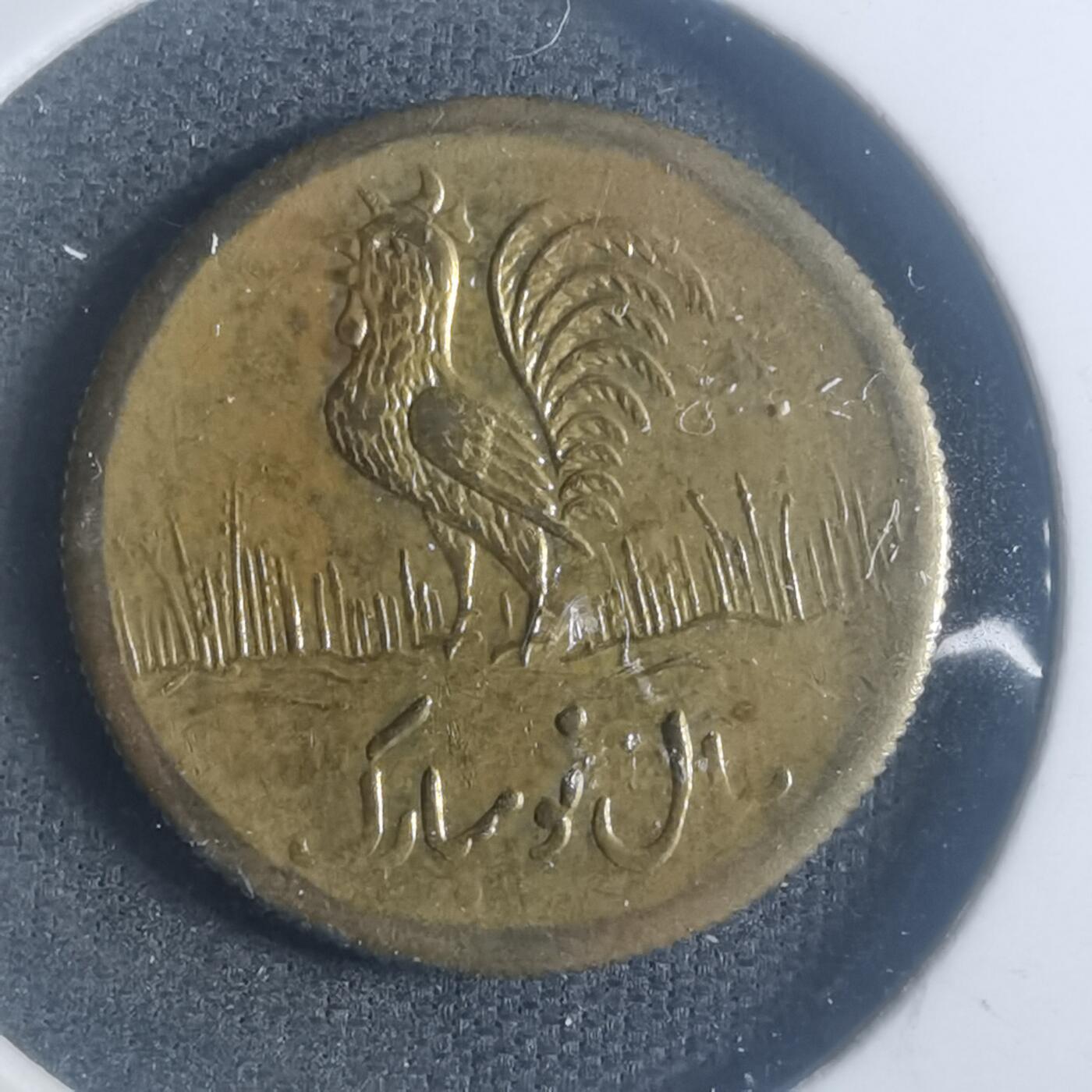 沼泽如烟--第900场 伊朗