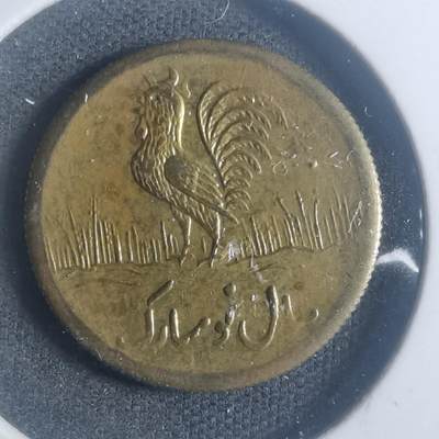 沼泽如烟--第900场 - 伊朗