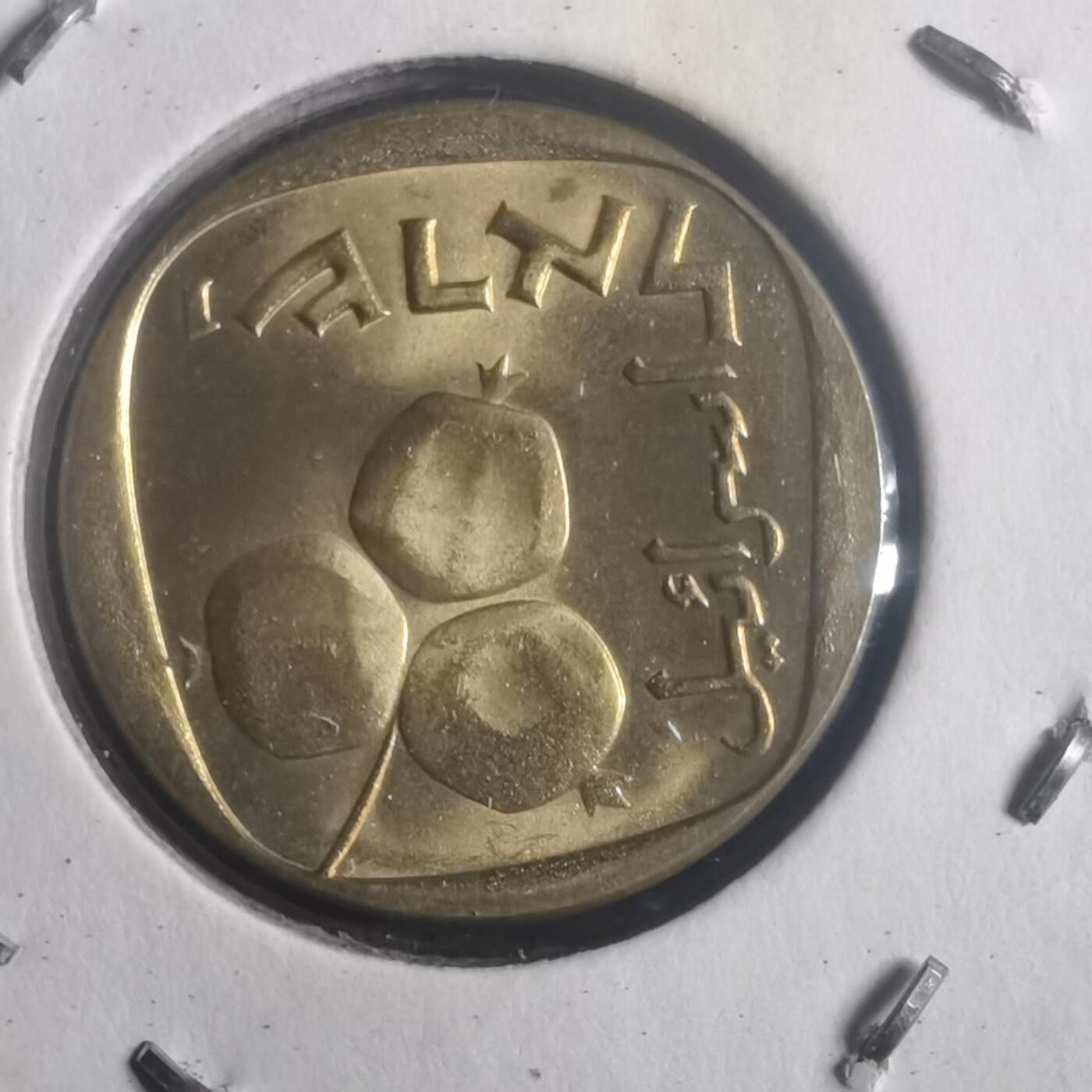 沼泽如烟--第903场