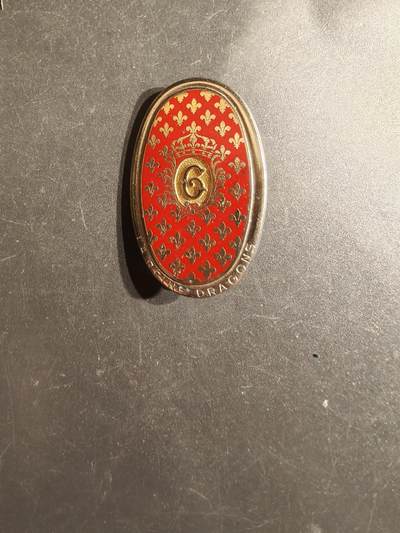 老王徽章第163期 13-15日三场连拍 16日统一发货  13、14日结束后可寄存 - 法国第6龙骑兵团证章 