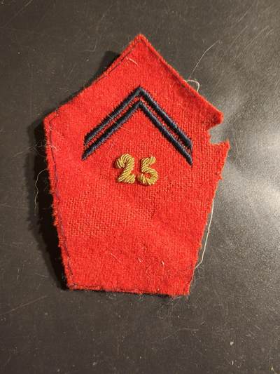 老王徽章第163期 13-15日三场连拍 16日统一发货  13、14日结束后可寄存 - 法国第25步兵团士官袖章