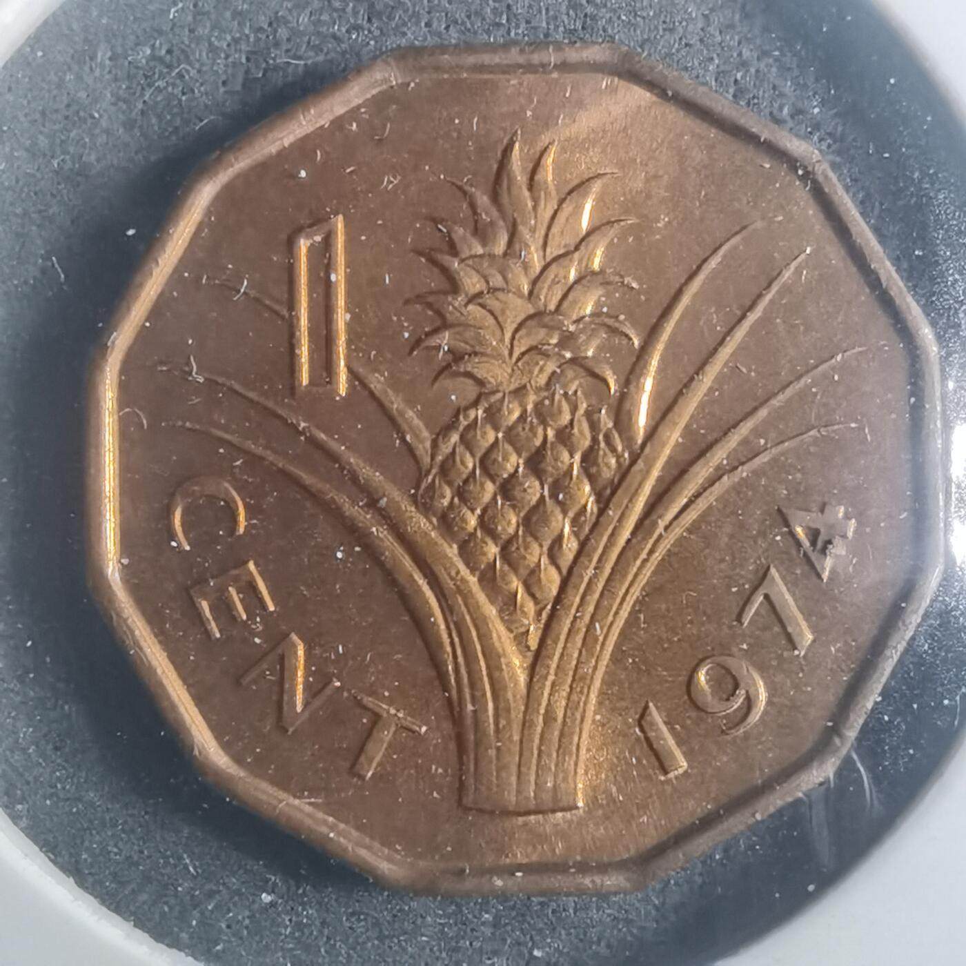 沼泽如烟--第900场 斯威士兰1974年一分