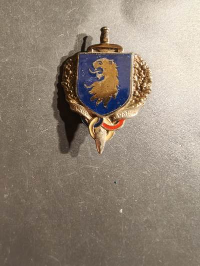 老王徽章第163期 13-15日三场连拍 16日统一发货  13、14日结束后可寄存 - 法国军事预备役证章 