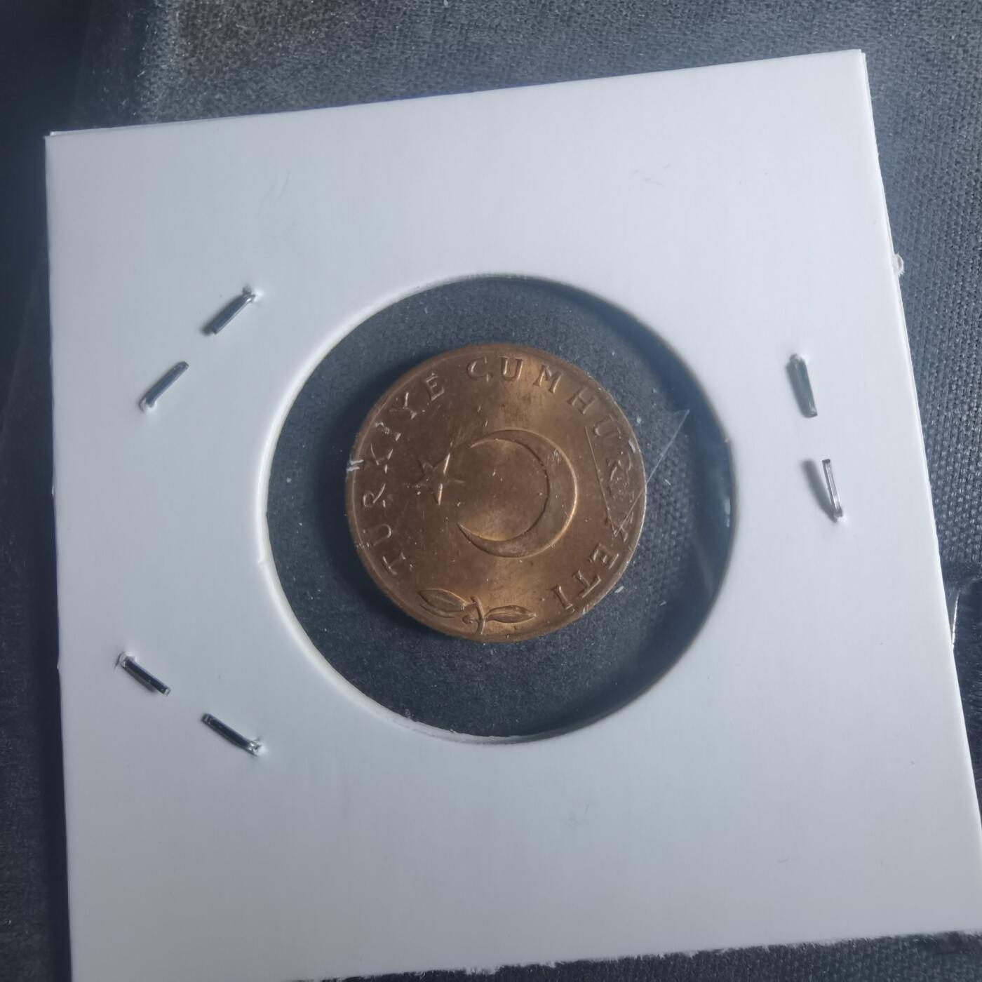 沼泽如烟--第900场