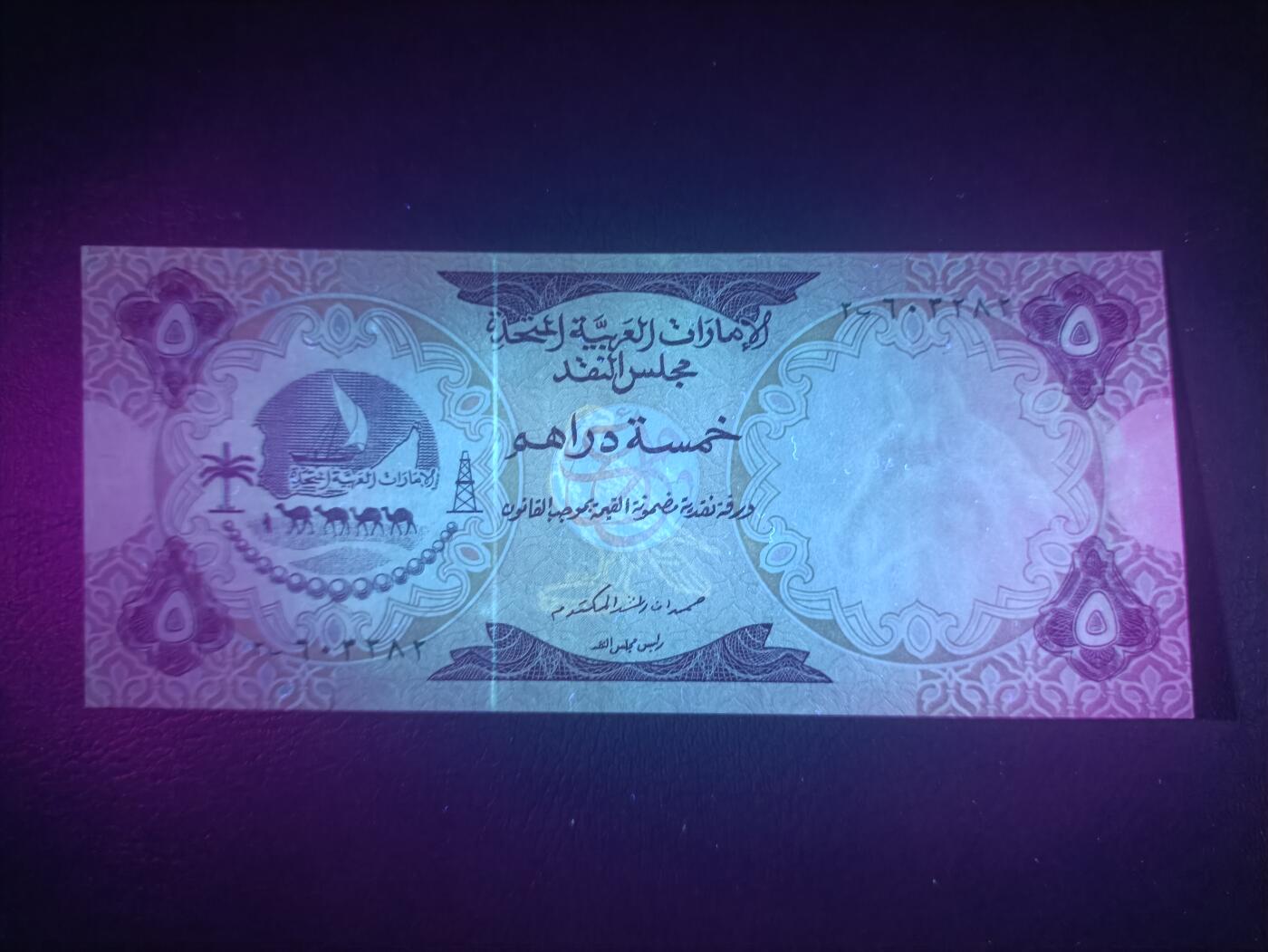 2025十一月第四期，总202期