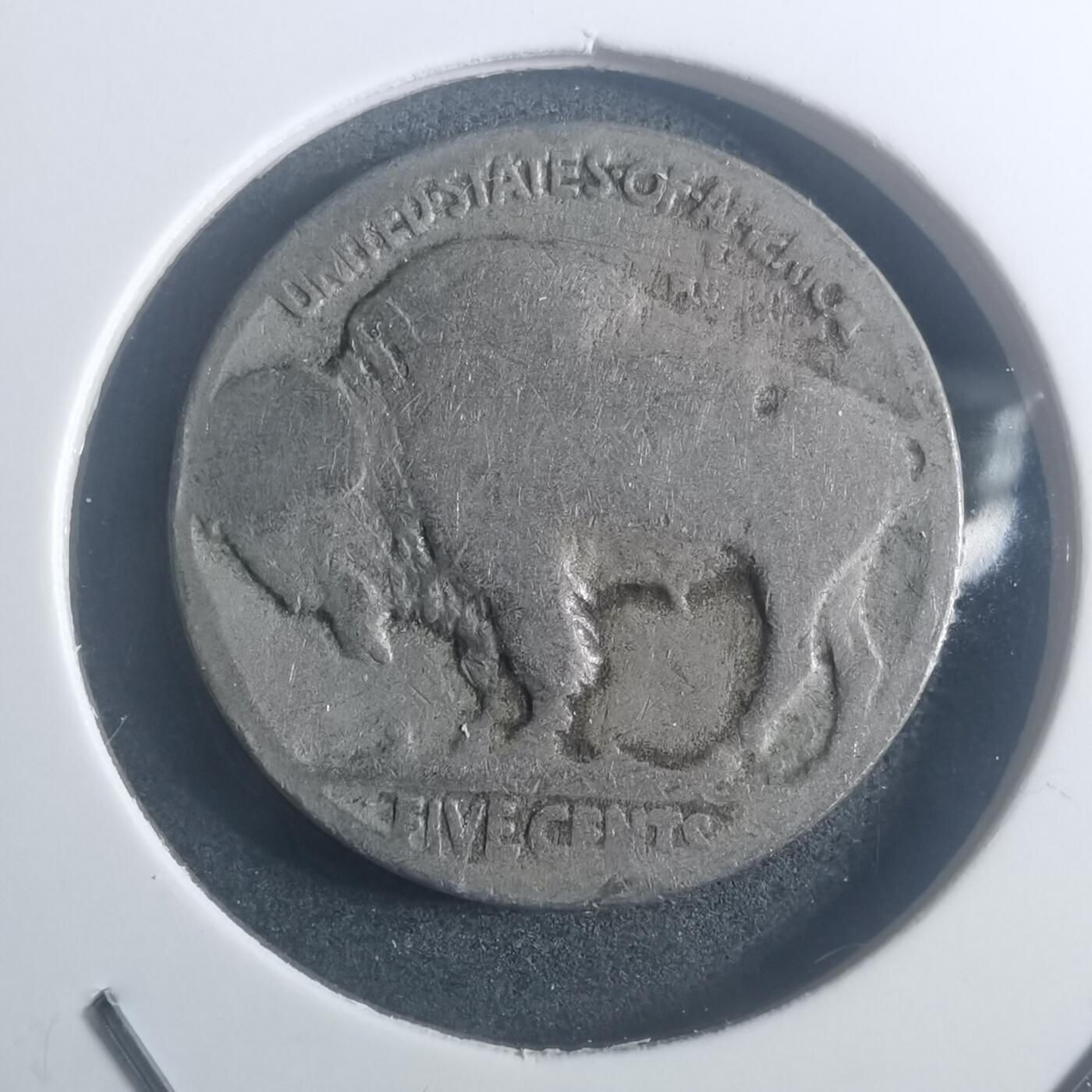 沼泽如烟--第900场 美国野牛五分