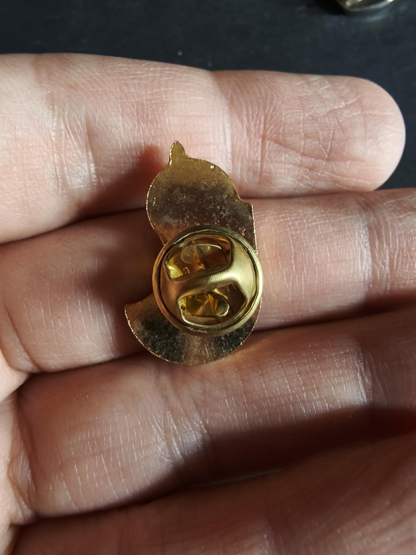 老王徽章第163期 13-15日三场连拍 16日统一发货  13、14日结束后可寄存  法国圣西尔军事高中士官校友会徽章