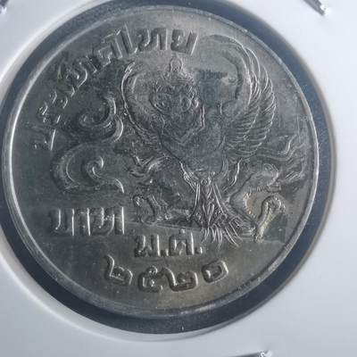 沼泽如烟--第903场 - 泰国