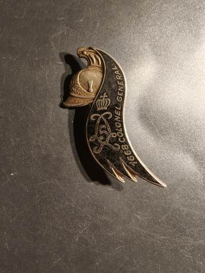 老王徽章第163期 13-15日三场连拍 16日统一发货  13、14日结束后可寄存 - 法国第5龙骑兵团证章 