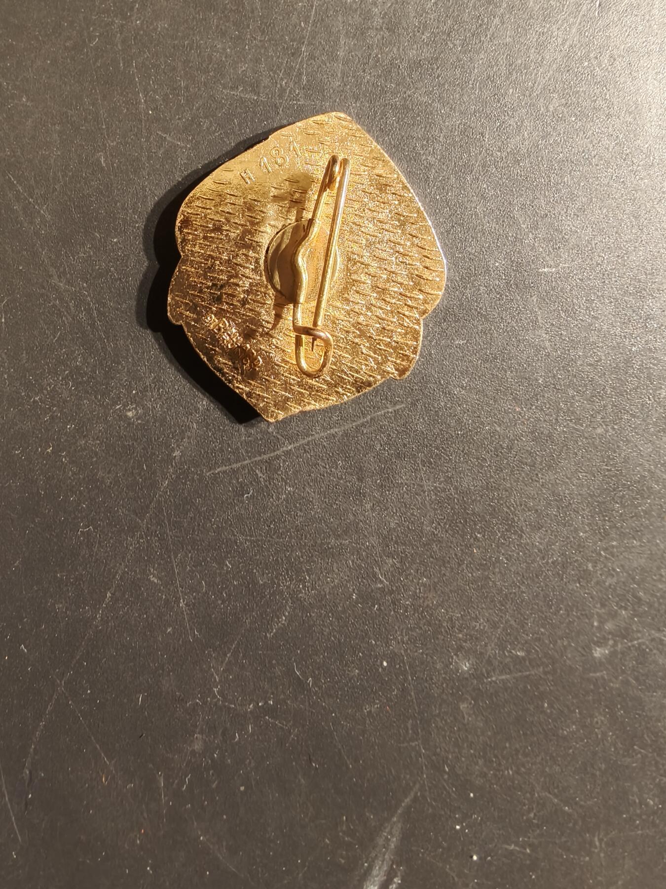 老王徽章第163期 13-15日三场连拍 16日统一发货  13、14日结束后可寄存  法国乍得行军团证章