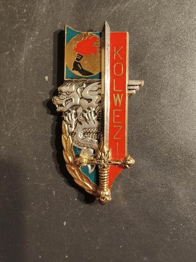 老王徽章第163期 13-15日三场连拍 16日统一发货  13、14日结束后可寄存 -  法国圣西尔军校“科尔韦齐届”学员晋升证章