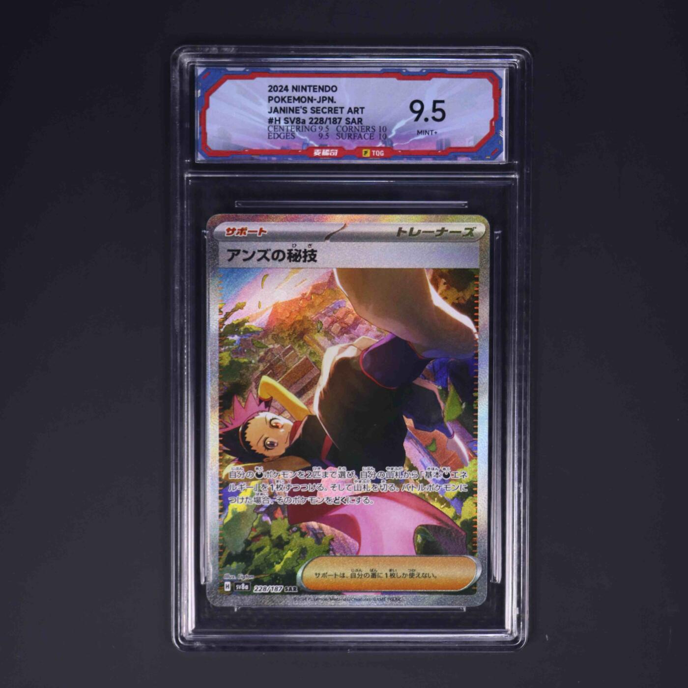 宝可梦专场！！