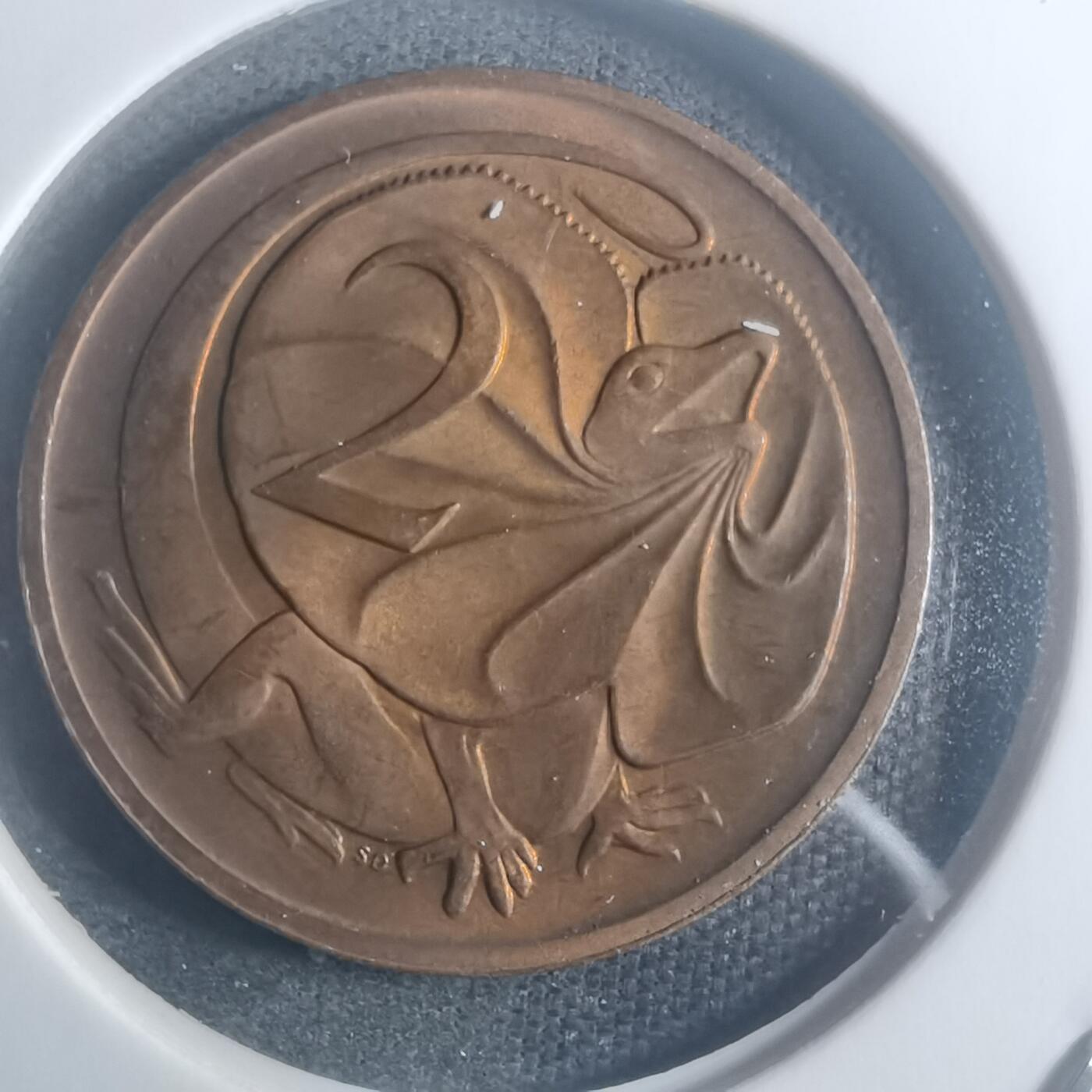 沼泽如烟--第900场