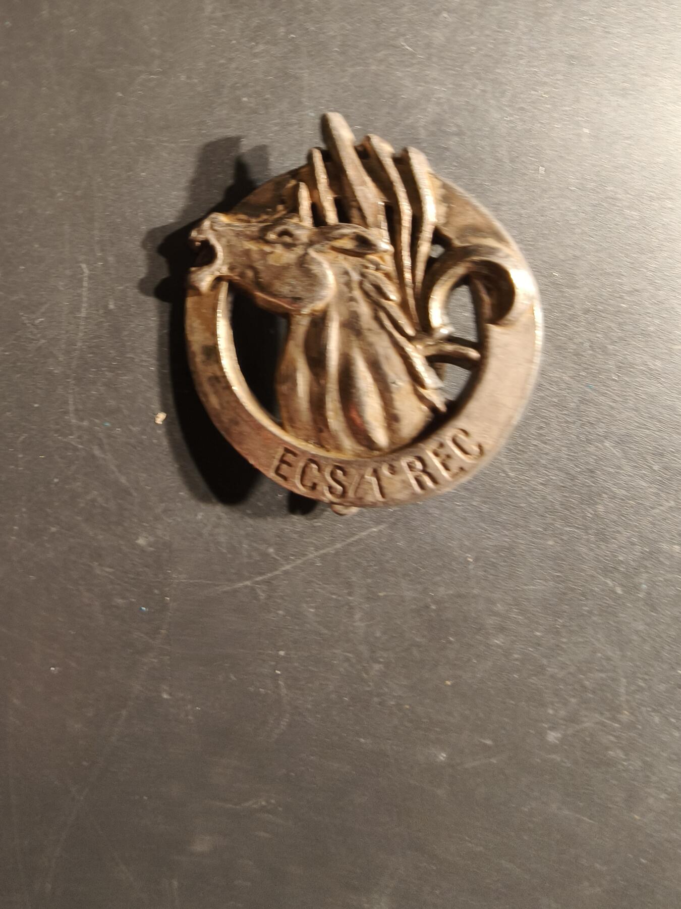 老王徽章第163期 13-15日三场连拍 16日统一发货  13、14日结束后可寄存  法国外籍兵团马约特岛特遣队证章