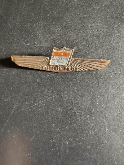 老王徽章第163期 13-15日三场连拍 16日统一发货  13、14日结束后可寄存 -  美国联合航空（United Airlines）的“未来飞行员”计划证章