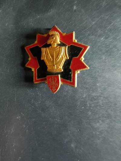 老王徽章第163期 13-15日三场连拍 16日统一发货  13、14日结束后可寄存 -  法国第16工兵团证章