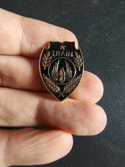 老王徽章第163期 13-15日三场连拍 16日统一发货  13、14日结束后可寄存 - 法国第121训练团证章 