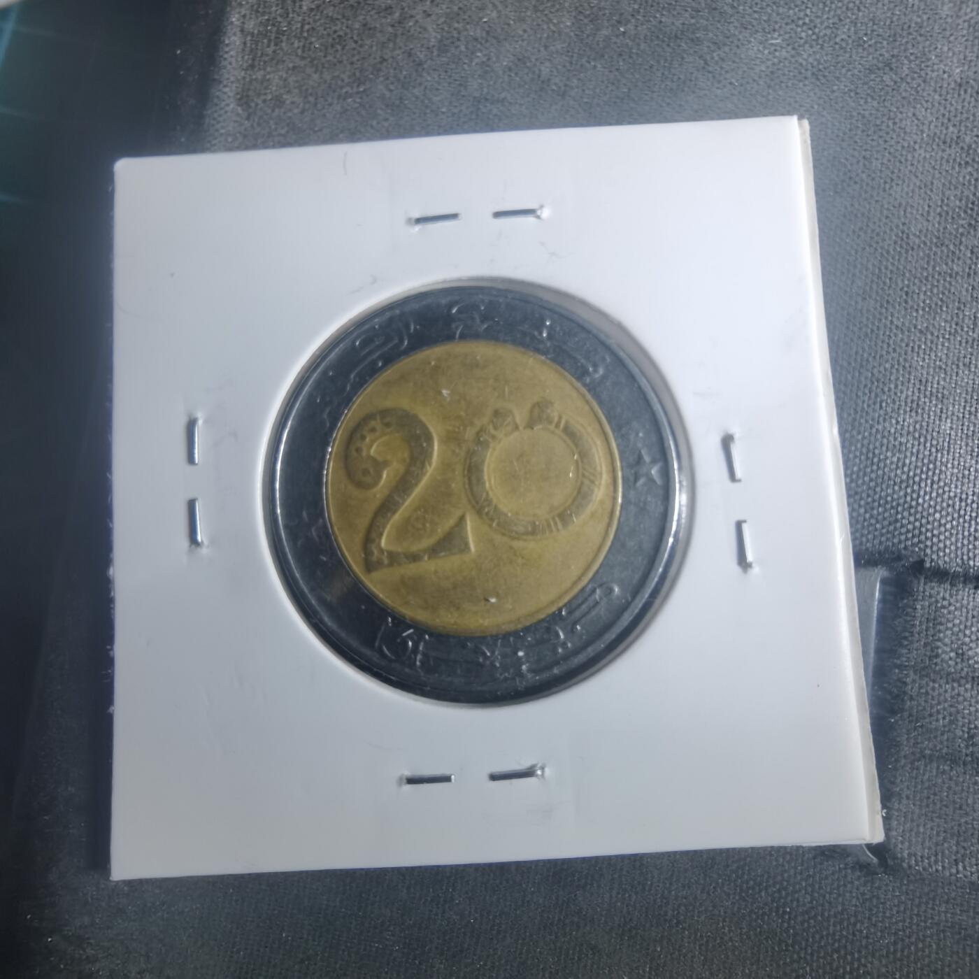 沼泽如烟--第900场