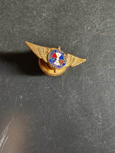 老王徽章第163期 13-15日三场连拍 16日统一发货  13、14日结束后可寄存 -  美国西雅图航空工人751 号地方分会证章