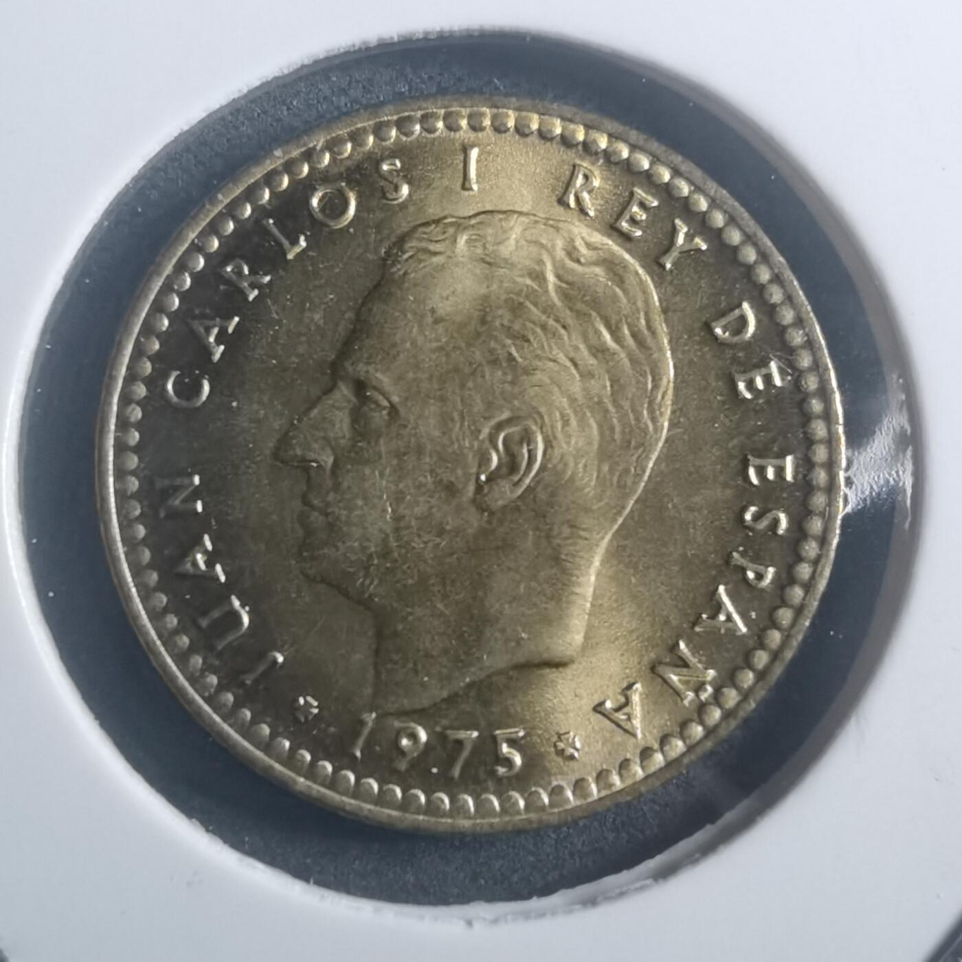 沼泽如烟--第903场