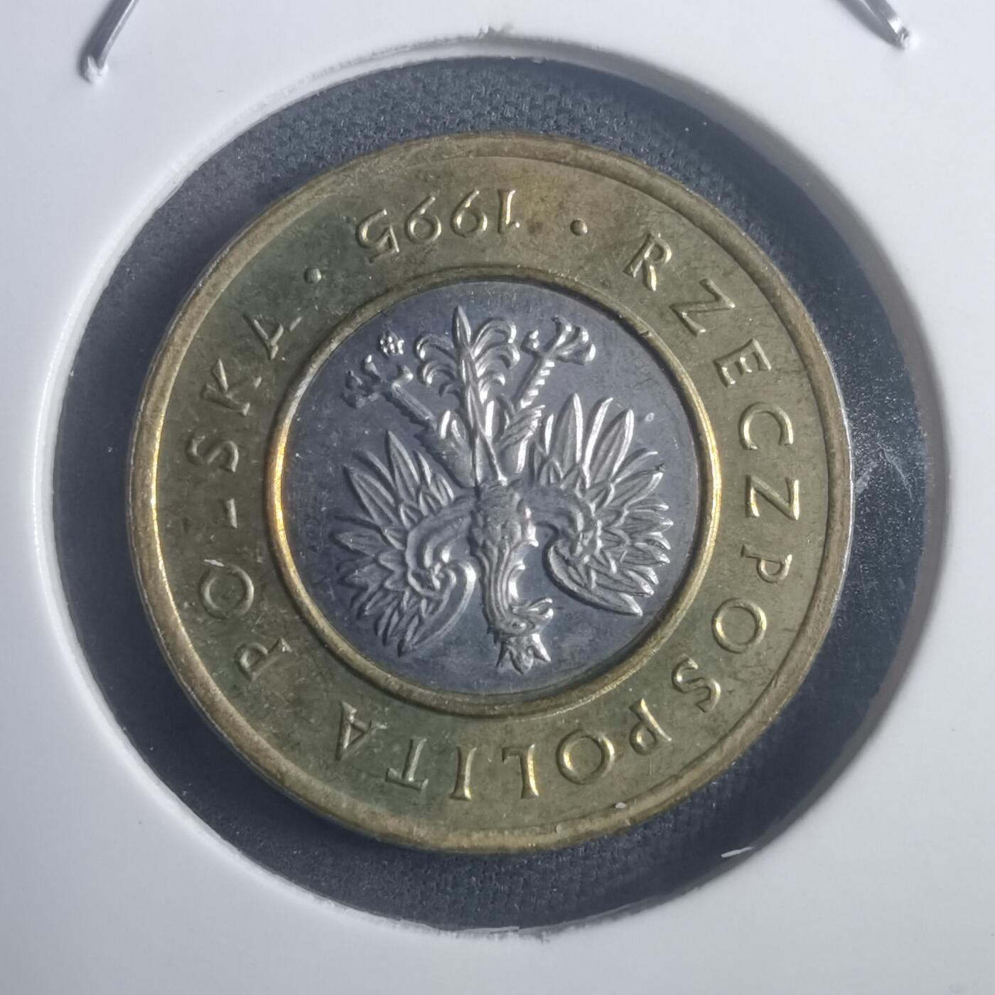 沼泽如烟--第903场