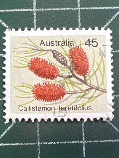 第1052 邮票专场 （无押金，捡漏，全场50包邮，偏远地区除外，接收代拍业务，本店十天发一次货） - 澳大利亚邮票