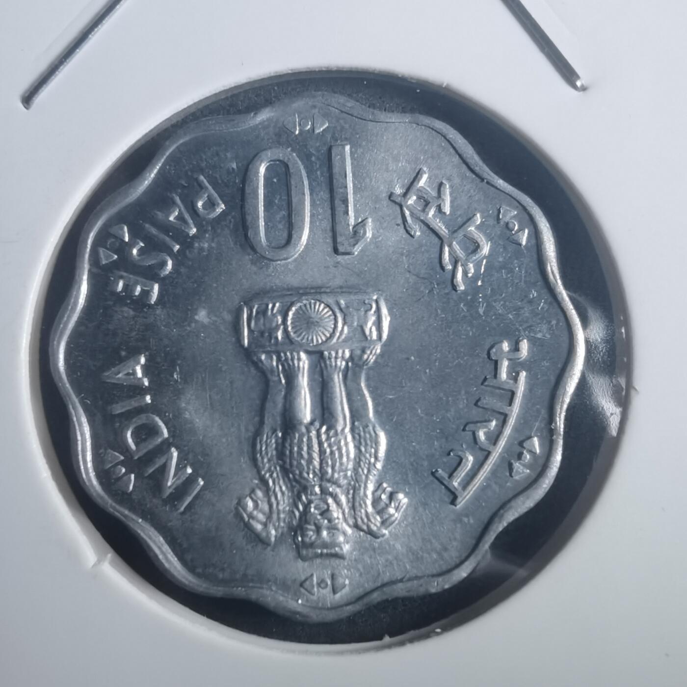 沼泽如烟--第903场