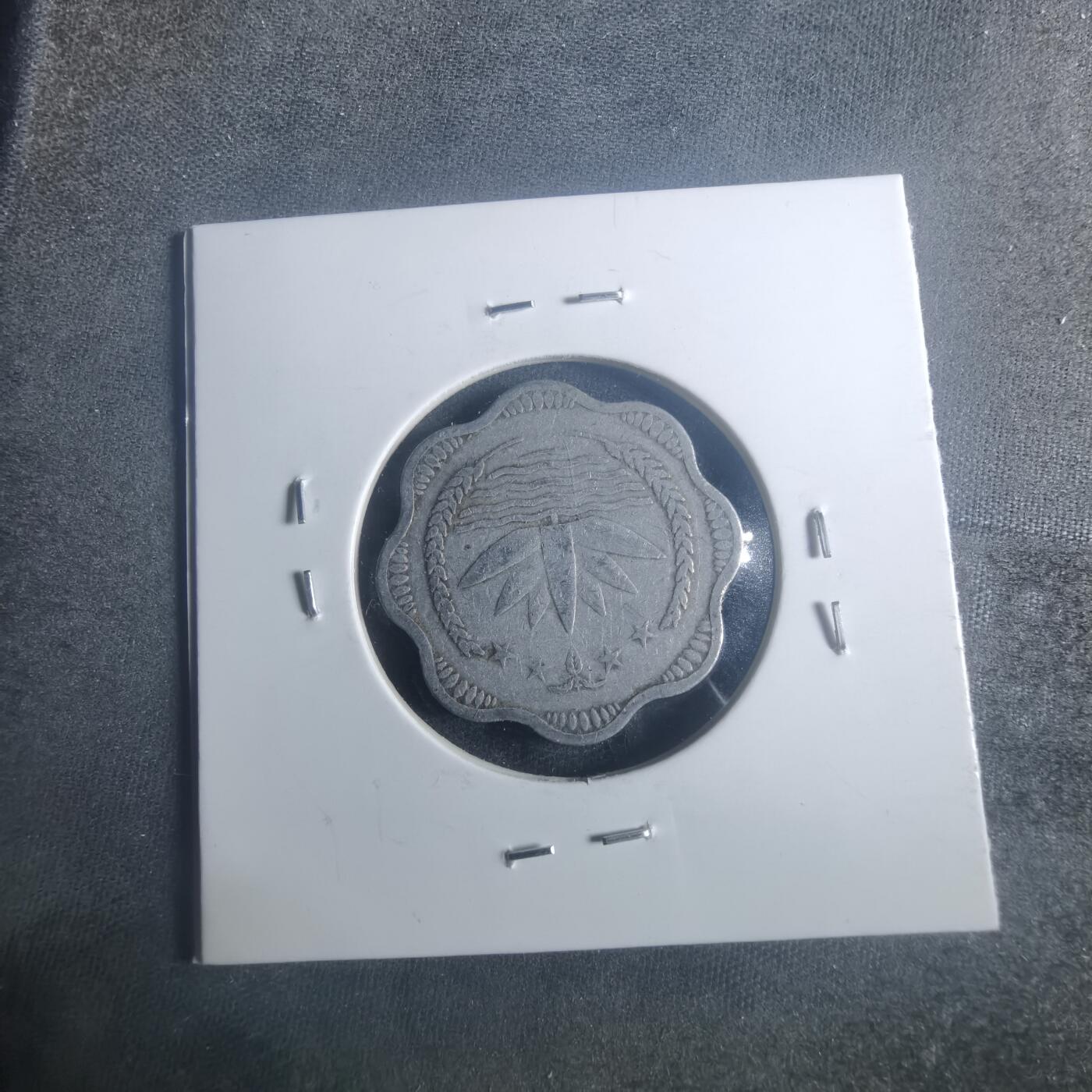 沼泽如烟--第900场 孟加拉树叶